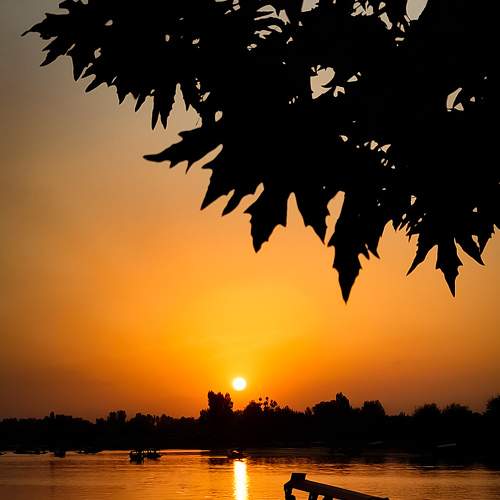 Photo #6679312