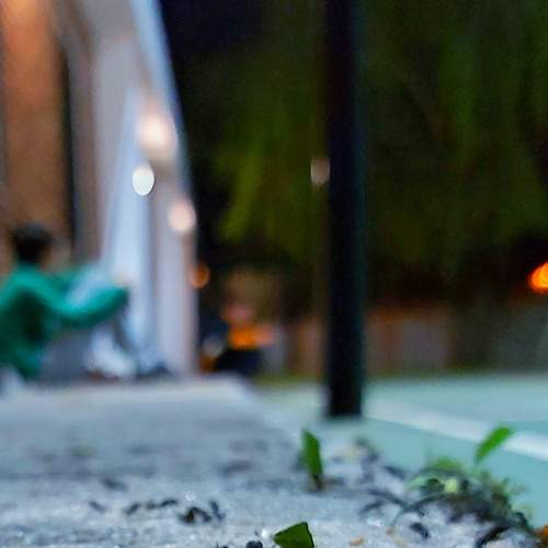 Photo #6679318