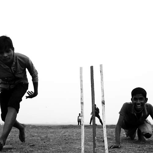 Photo #6679555