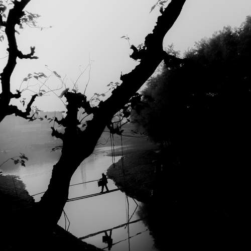 Photo #6679583