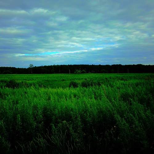 Photo #6679724