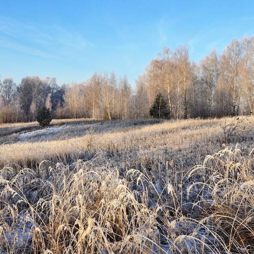Photo #6679734