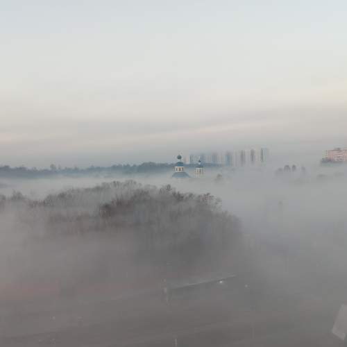 Photo #6679766