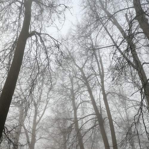 Photo #6679768