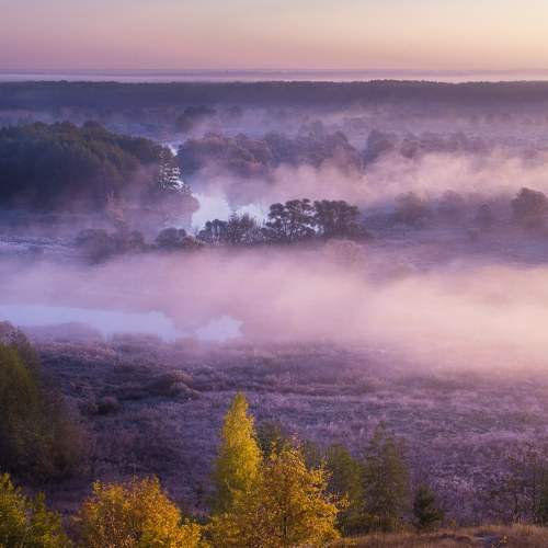Photo #6679922