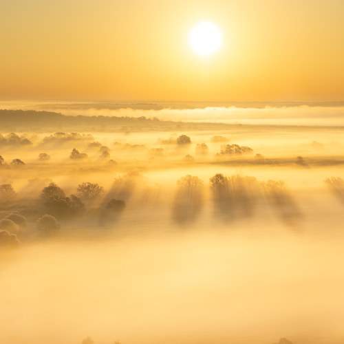 Photo #6679923