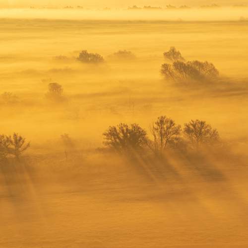 Photo #6679924