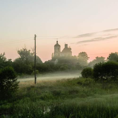 Photo #6679940