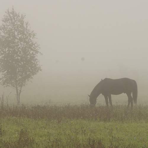Photo #6680092