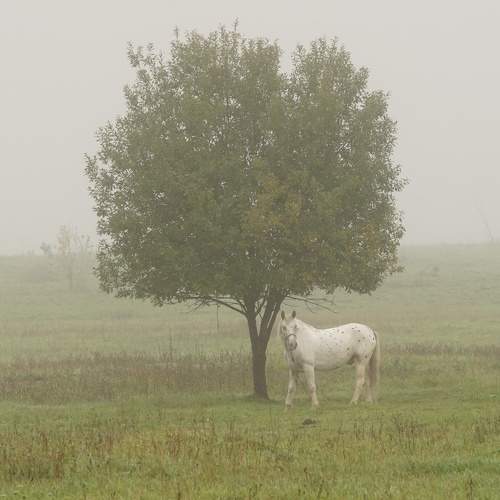 Photo #6680094