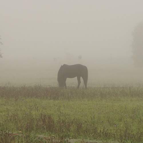 Photo #6680097