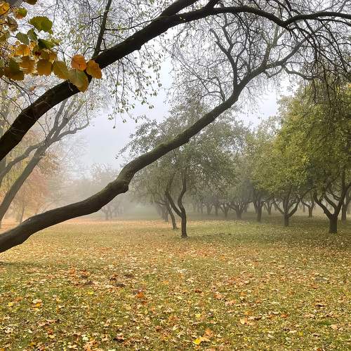 Photo #6680117