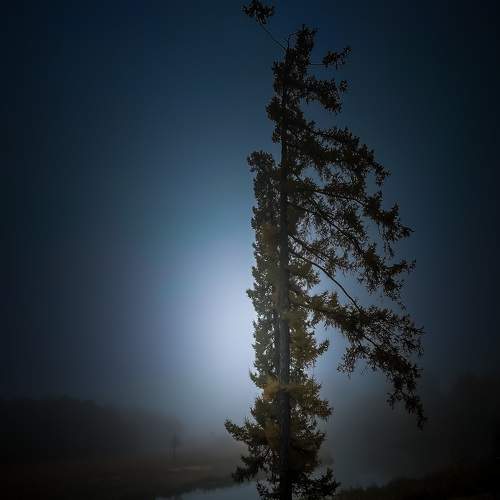 Photo #6680124