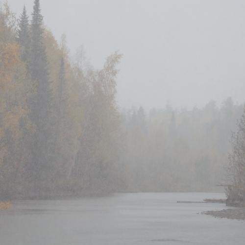 Photo #6680134