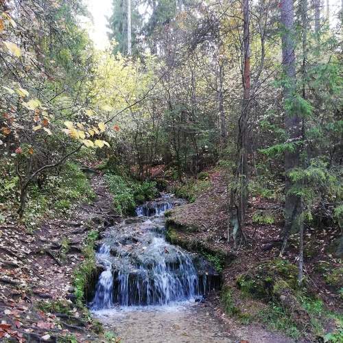 Photo #6680180