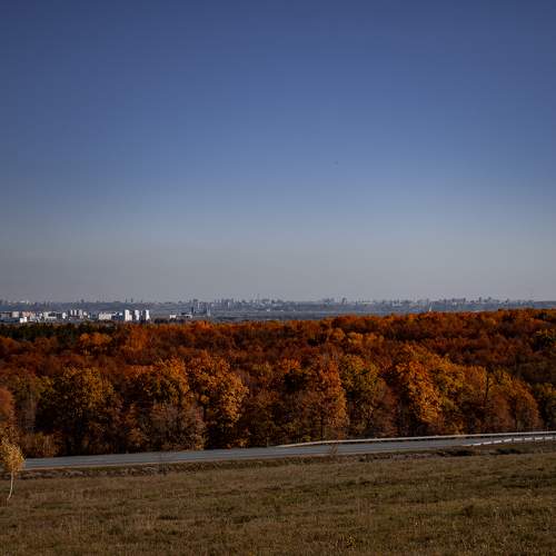 Photo #6680388