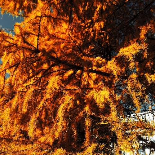 Photo #6680413