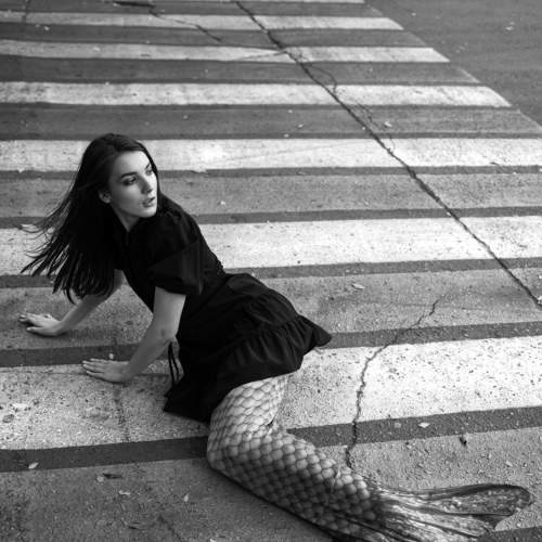 Photo #6680554
