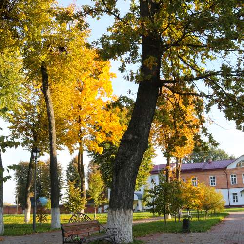 Photo #6680603