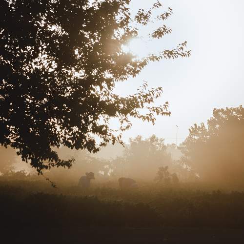 Photo #6680731