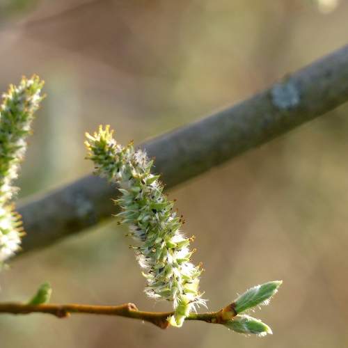 Photo #6680834