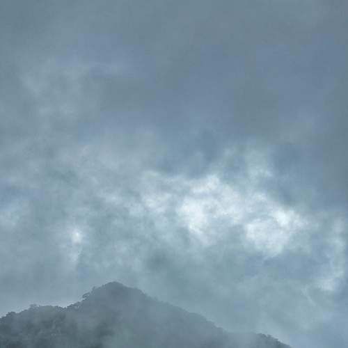 Photo #6680958