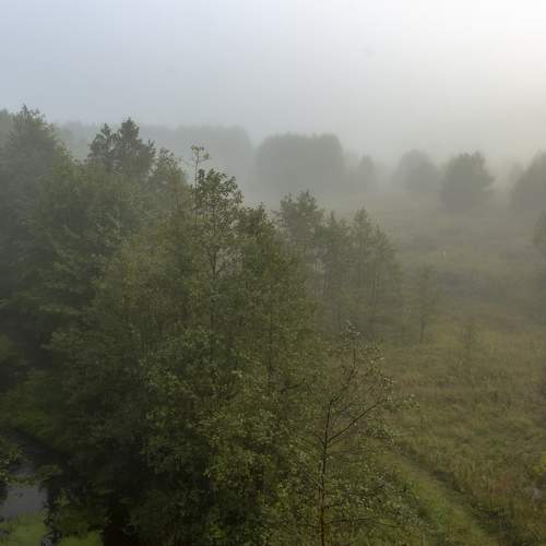 Photo #6680982