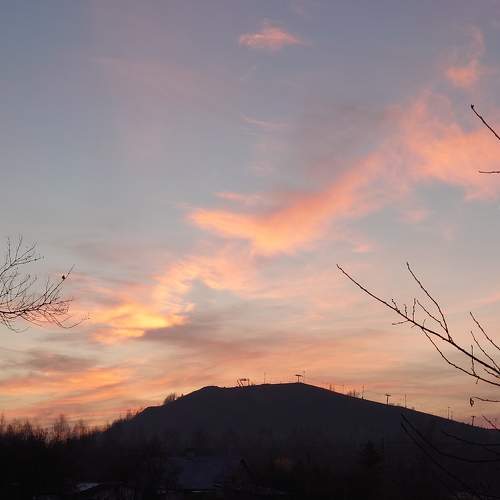 Photo #6681012