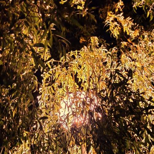 Photo #6681028