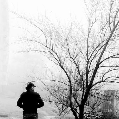 Photo #6681043