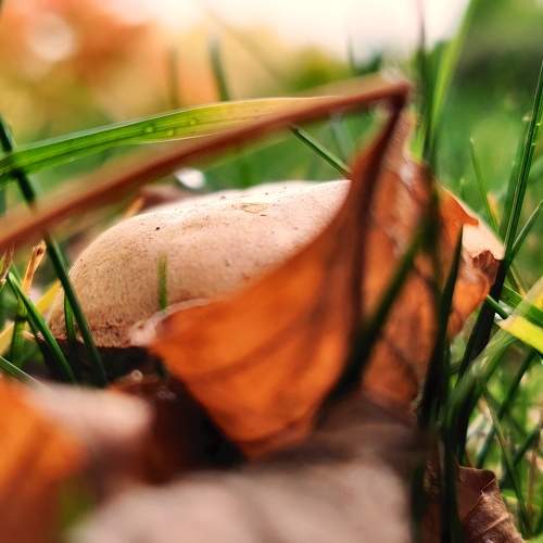 Photo #6681047