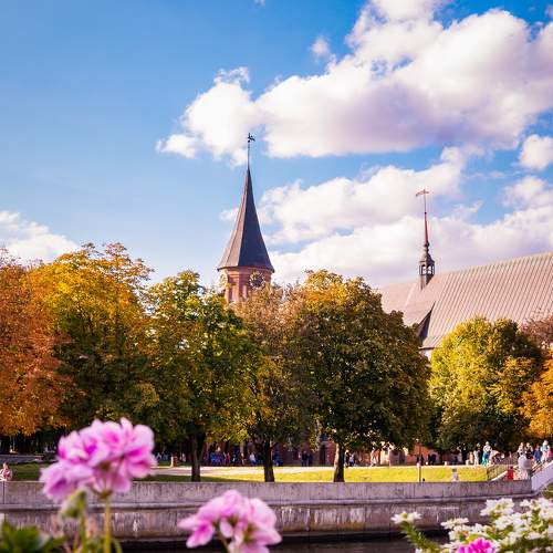Photo #6681058