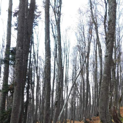 Photo #6681287