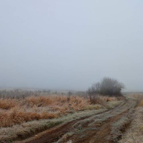Photo #6681347