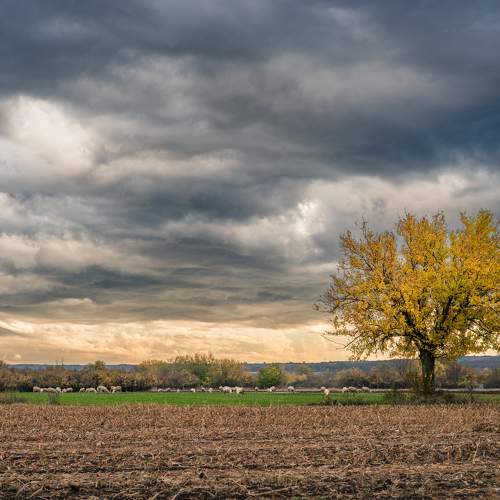 Waiting for the autumn storm