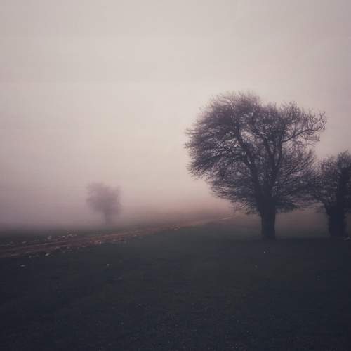 Photo #6681535