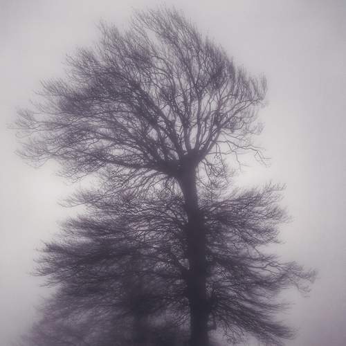 Photo #6681540