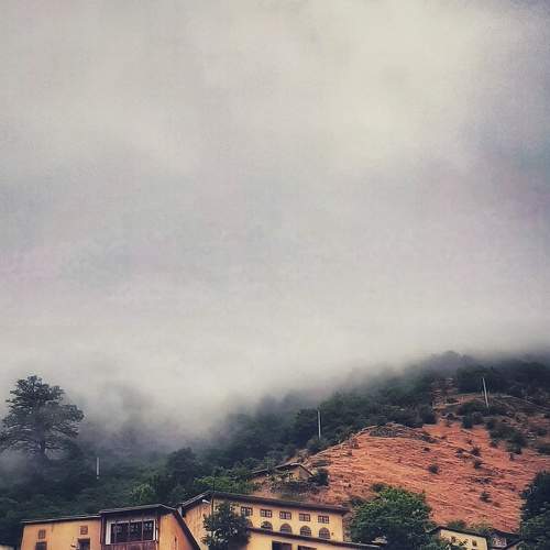 Photo #6681554