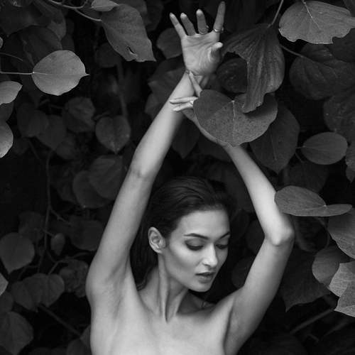 Фотография #6681752