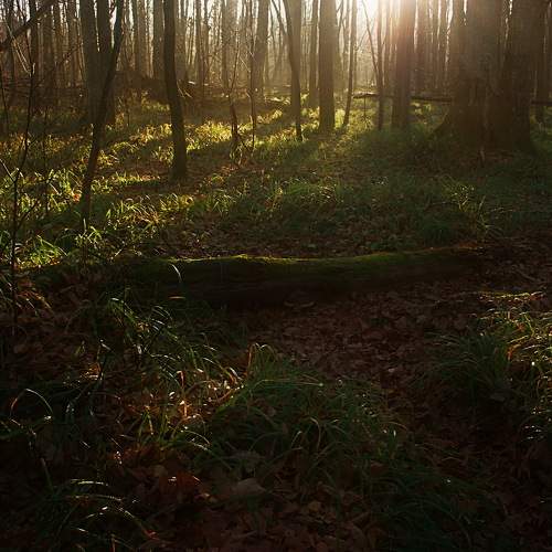 Photo #6681778