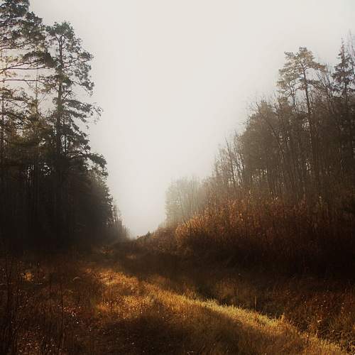 Photo #6681785