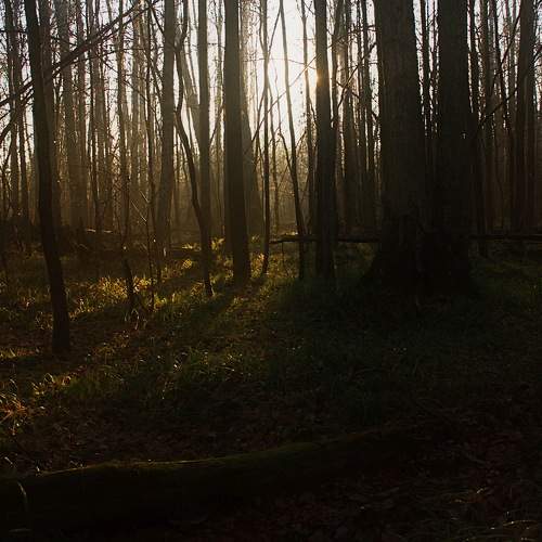 Photo #6681808