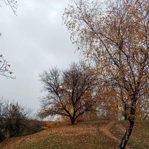 Photo #6681860