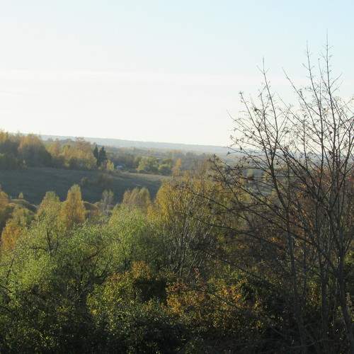 Photo #6681987
