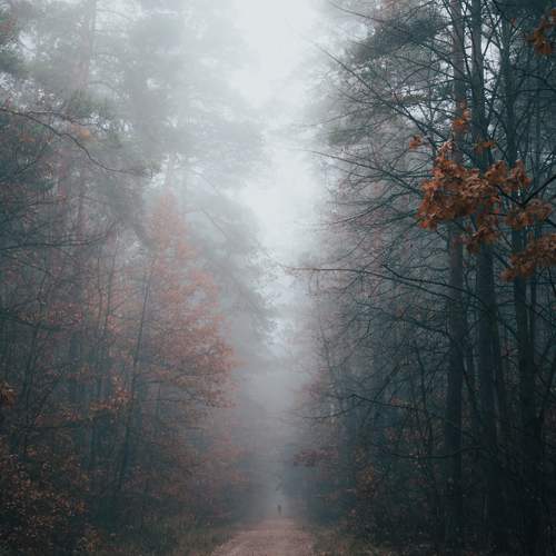 Photo #6681995