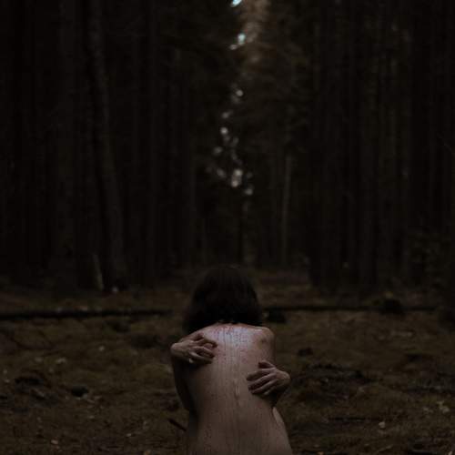 Photo #6682073