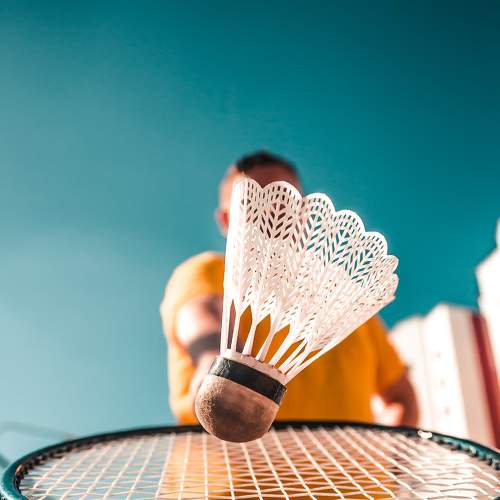 Photo #6682075