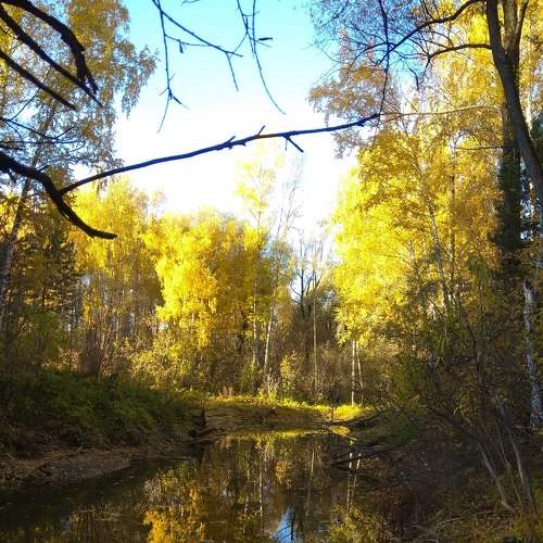 Photo #6682309