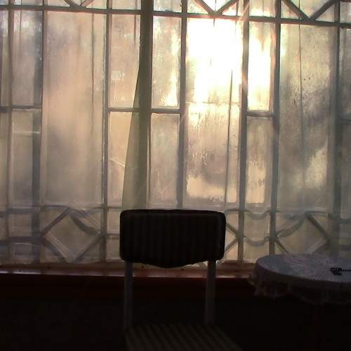 Photo #6682353