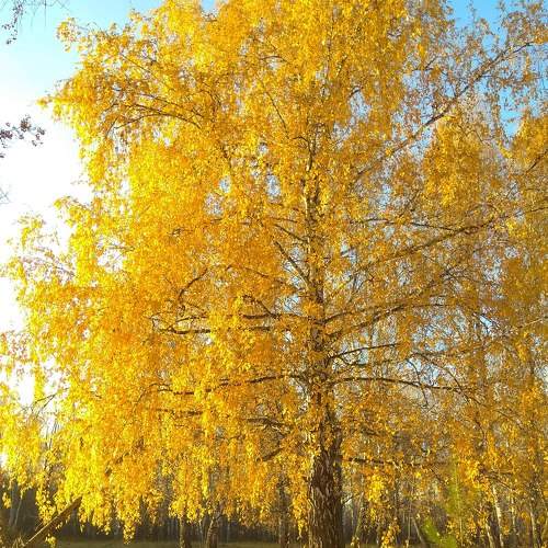 Photo #6682362